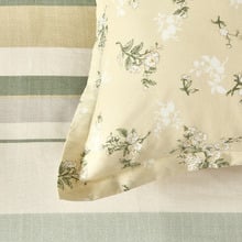 Berlin Cotton Twill European Pillowcases (Set of 2)